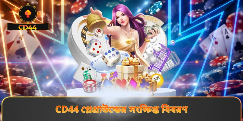 CD44 প্লেগ্রাউন্ডের সংক্ষিপ্ত বিবরণ