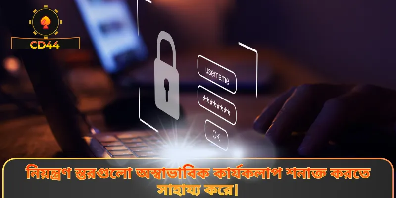 নিয়ন্ত্রণ স্তরগুলো অস্বাভাবিক কার্যকলাপ শনাক্ত করতে সাহায্য করে।